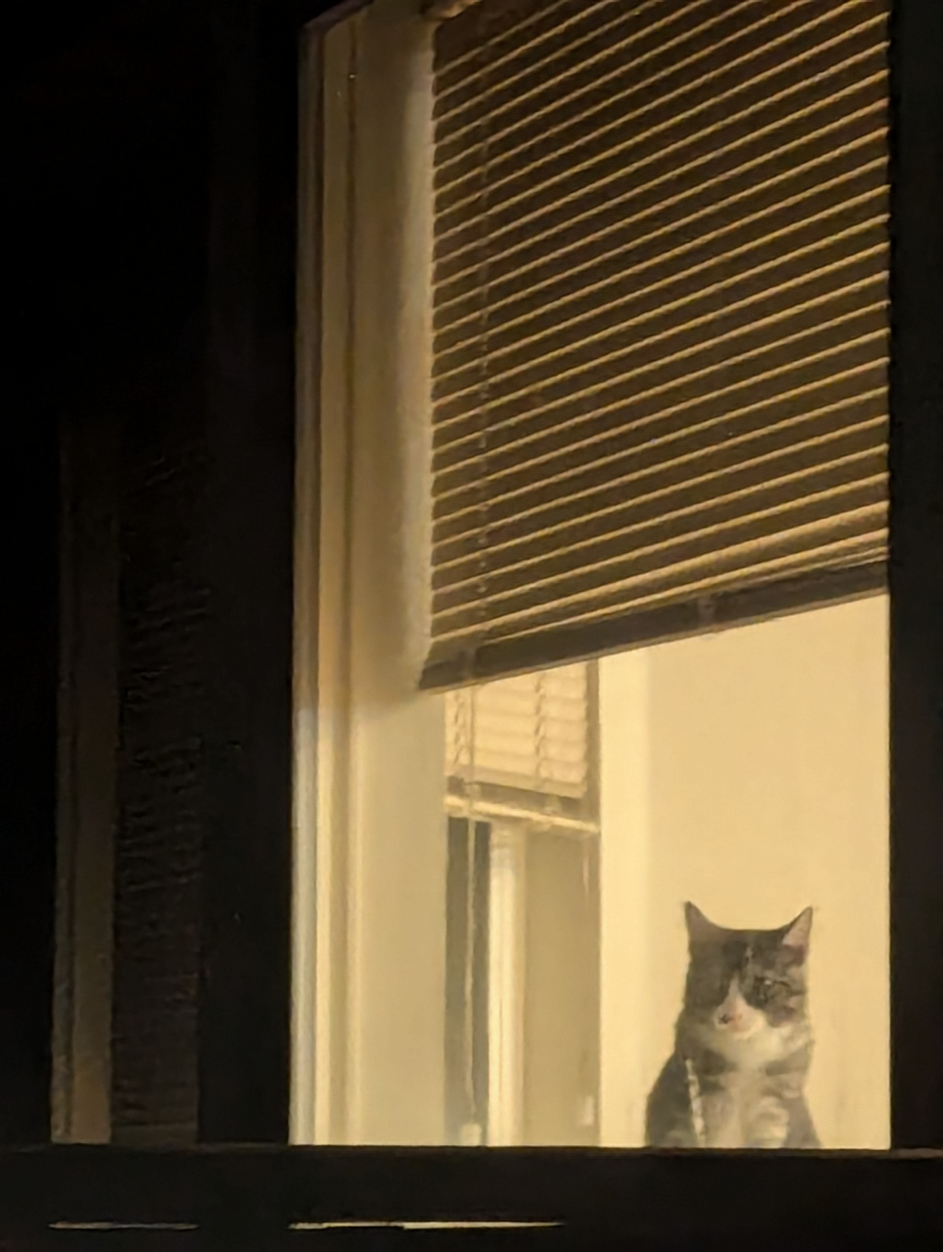 Comet