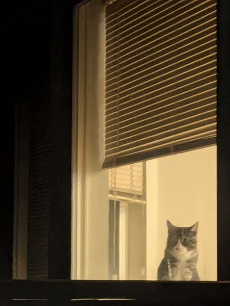 Comet